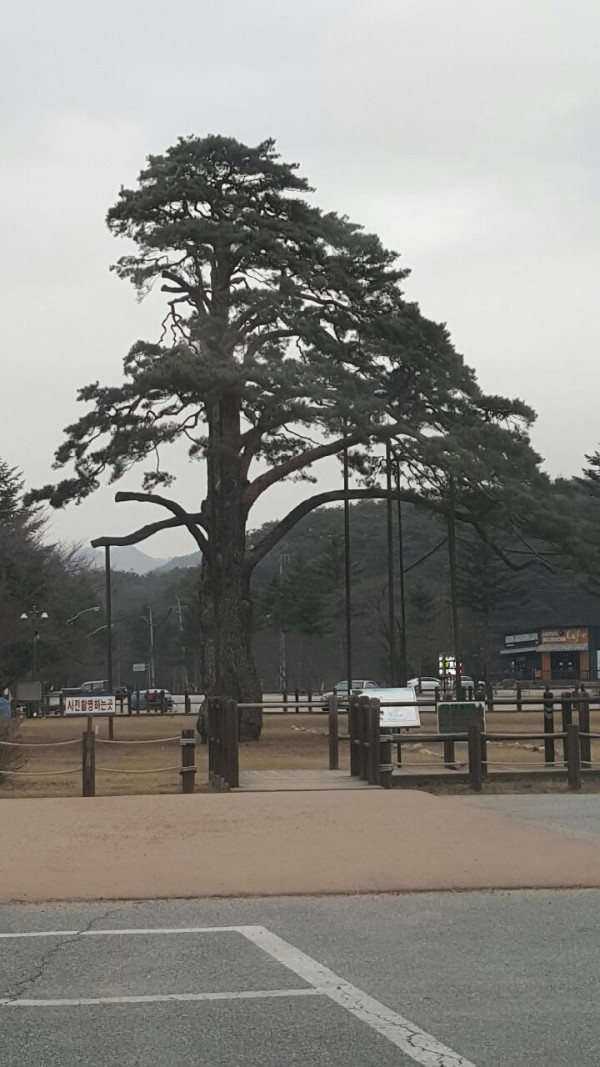 381c8db2490c164f6d894419c1591790_1457421