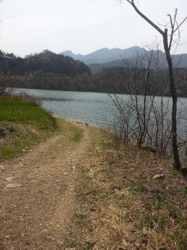 381c8db2490c164f6d894419c1591790_1457421