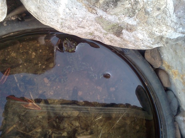 81334f1d95a709cff9518be1a6b63c0a_1461577