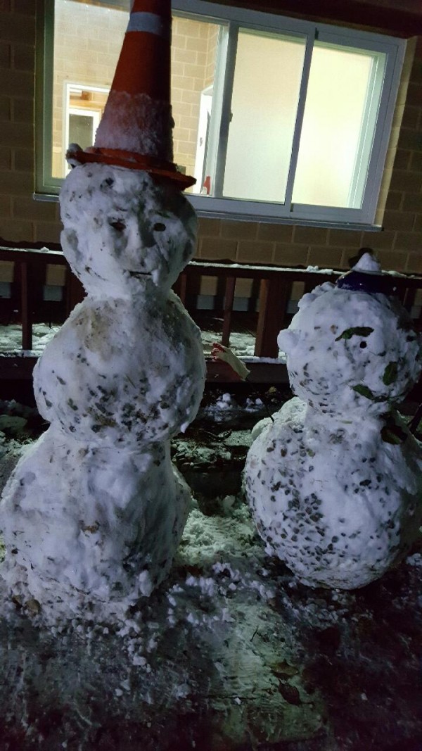 874f88ff374c8597cb400dcf94b6f2df_1480735