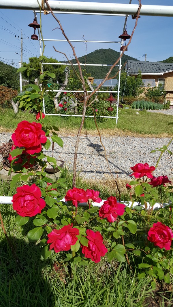 83223866b2f2eb963b5c20ad747e3006_1614497